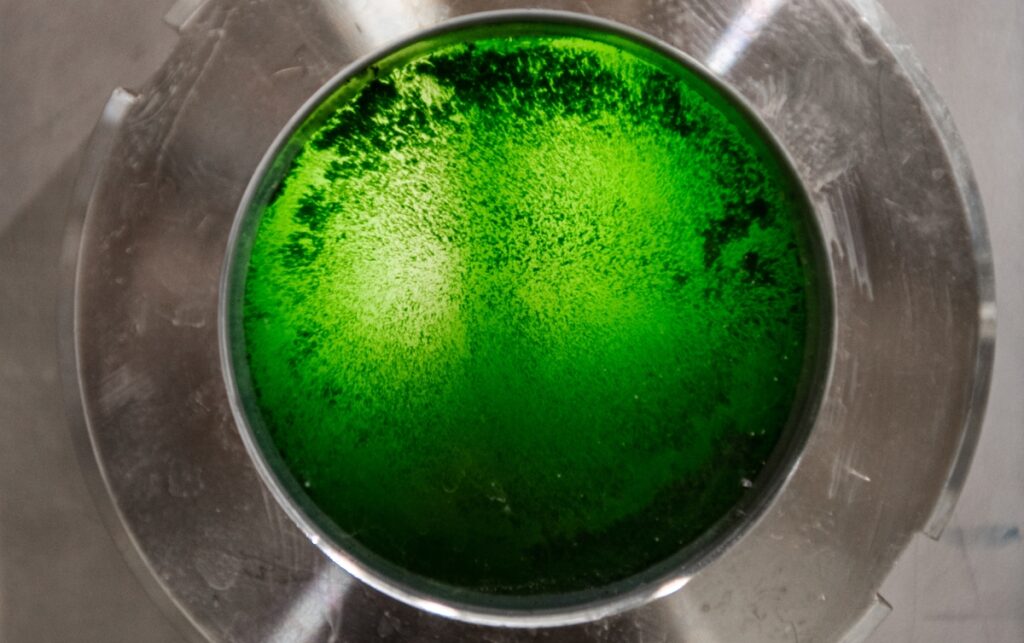 Brevel sprouts $18.5M to develop microalgae-based alternative proteins | TechCrunch
