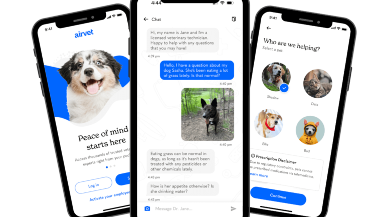 Pet telehealth company Airvet closes on $18.2M to embark on enterprise focus