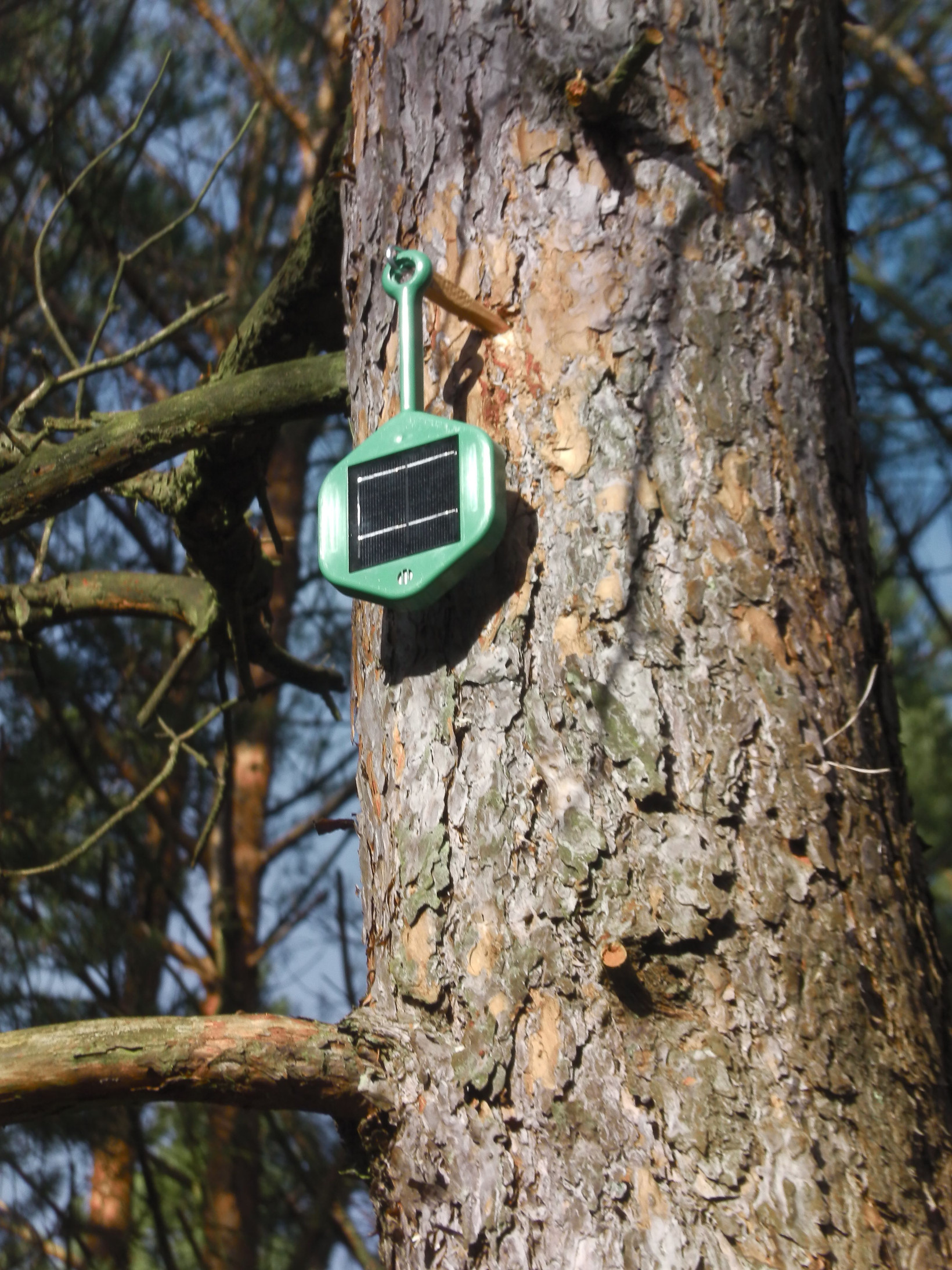 an image of a dryad wildfire sensor hanging on a tree