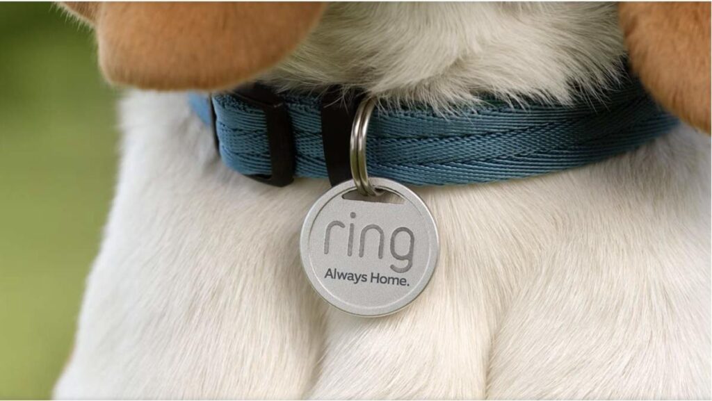 Ring's new Pet Tag accessory helps reunite lost pets with their owners