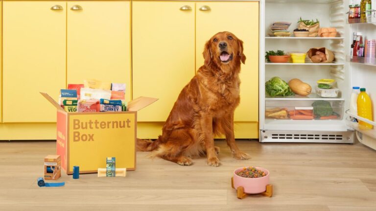 Butternut Box wolfs down $354M for subscription canine cuisine | TechCrunch